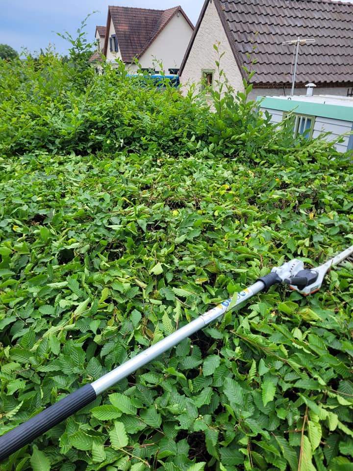 Travaux d'élagage et d'abattage à Moulins