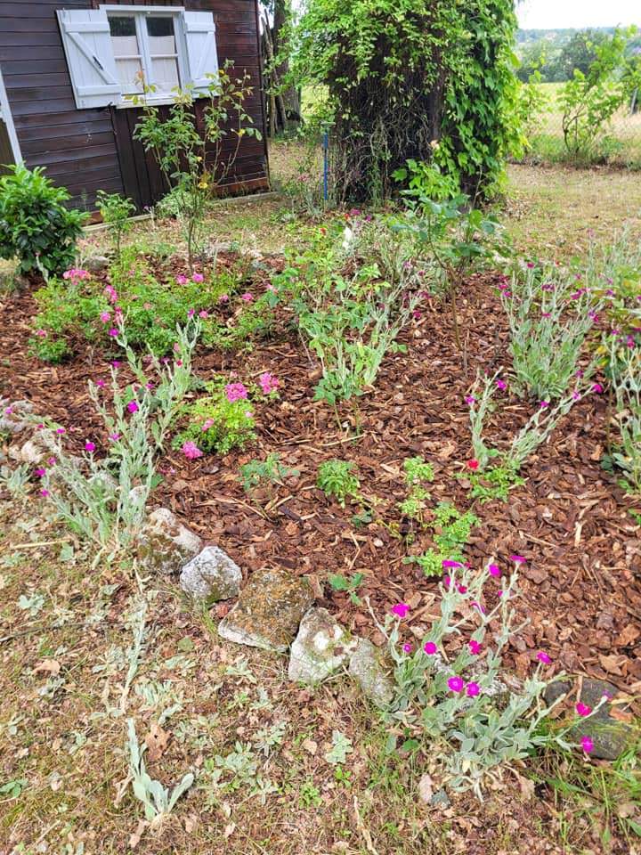 Service d'entretien d'espaces verts à Moulins