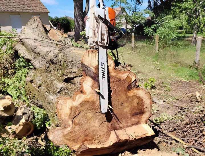 Travaux élagage et abattage d'arbres Moulins