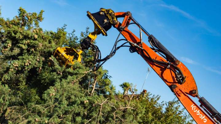 Beaudron espaces verts  (10)