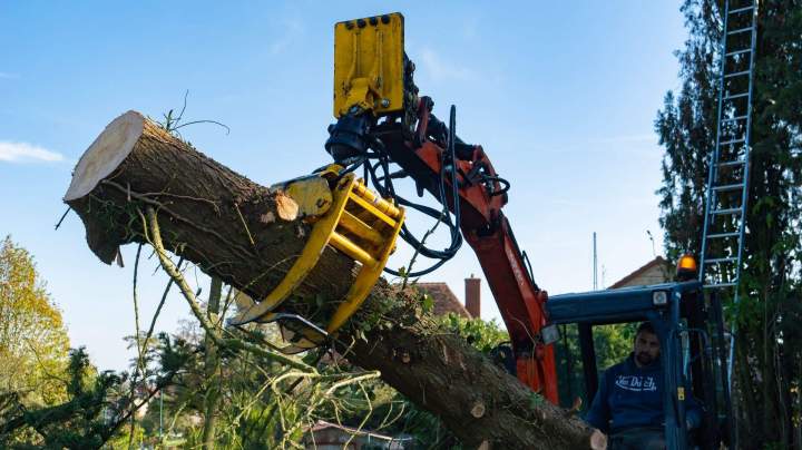 Beaudron espaces verts  (16)