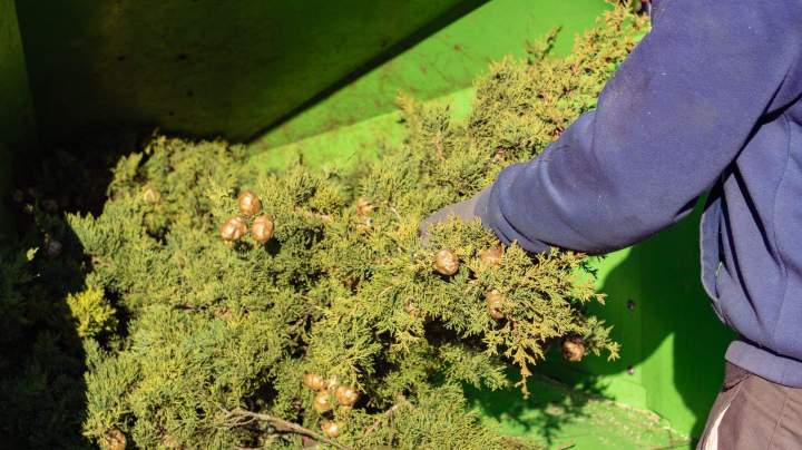 Beaudron espaces verts  (28)