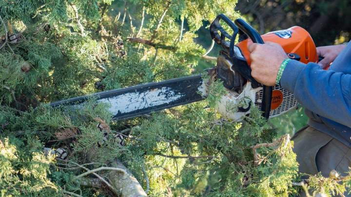 Beaudron espaces verts  (2)