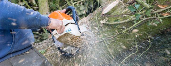 Beaudron espaces verts  (4)