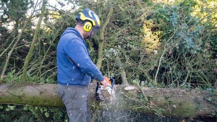 Beaudron espaces verts  (5)