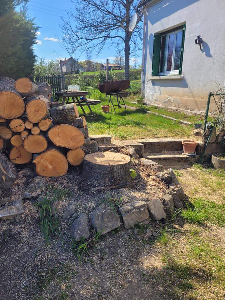 Travaux d’ élagage et abattage d'arbre Moulins